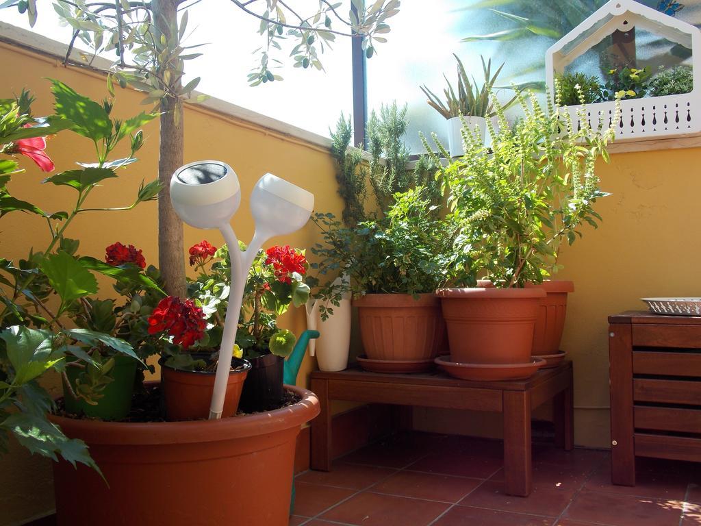 B&B Dei Cavalieri Pisa Ngoại thất bức ảnh